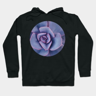 Purple Pearl Hoodie